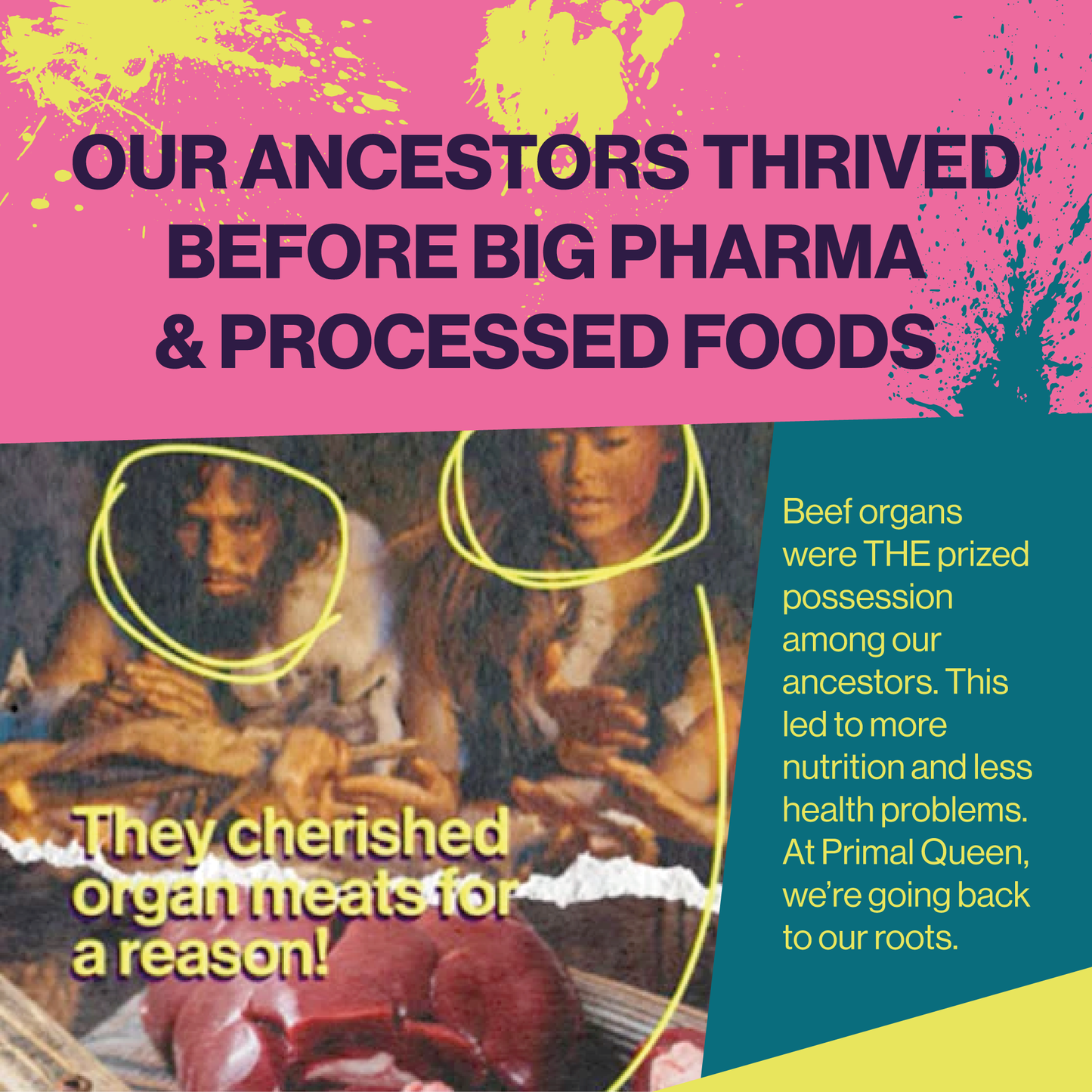 Primal Queen Beef Organ Superfoods Starter Kit - 30 Servings